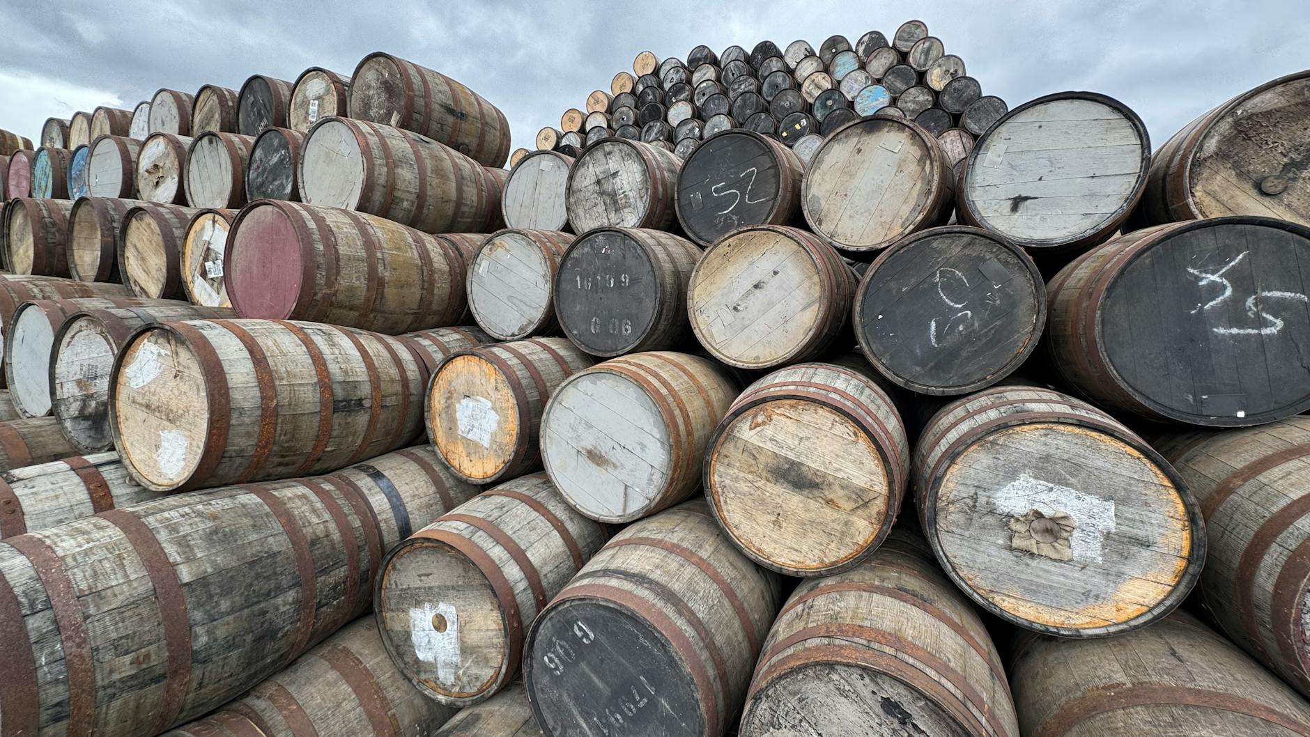 Oak barrels at a Scottish whisky distillery aging single malt