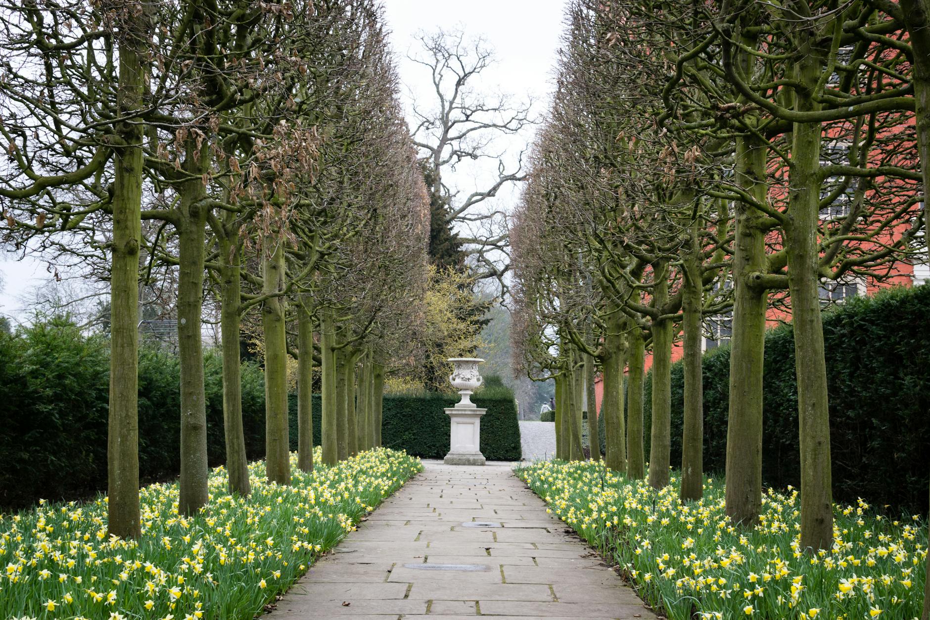 Garden path through Glasgow Botanic Gardens in spring