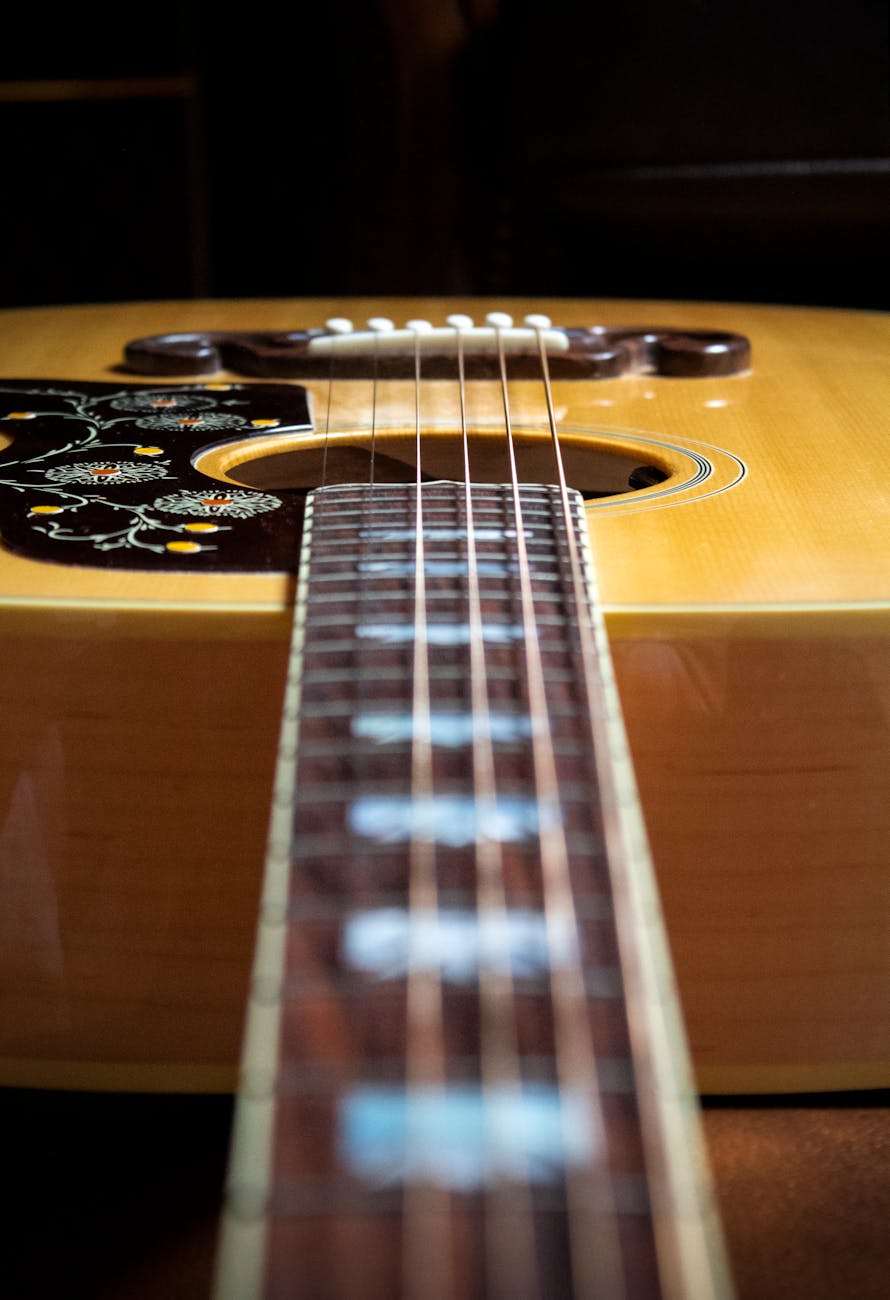 Folk music performance with acoustic instruments