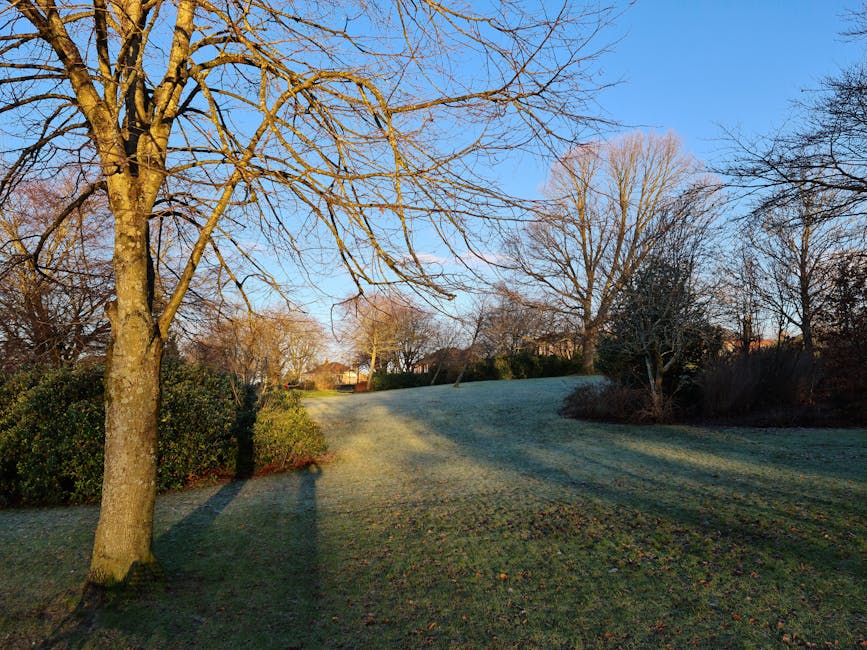 Tranquil park landscape in Glasgow during early morning showing lush green spaces