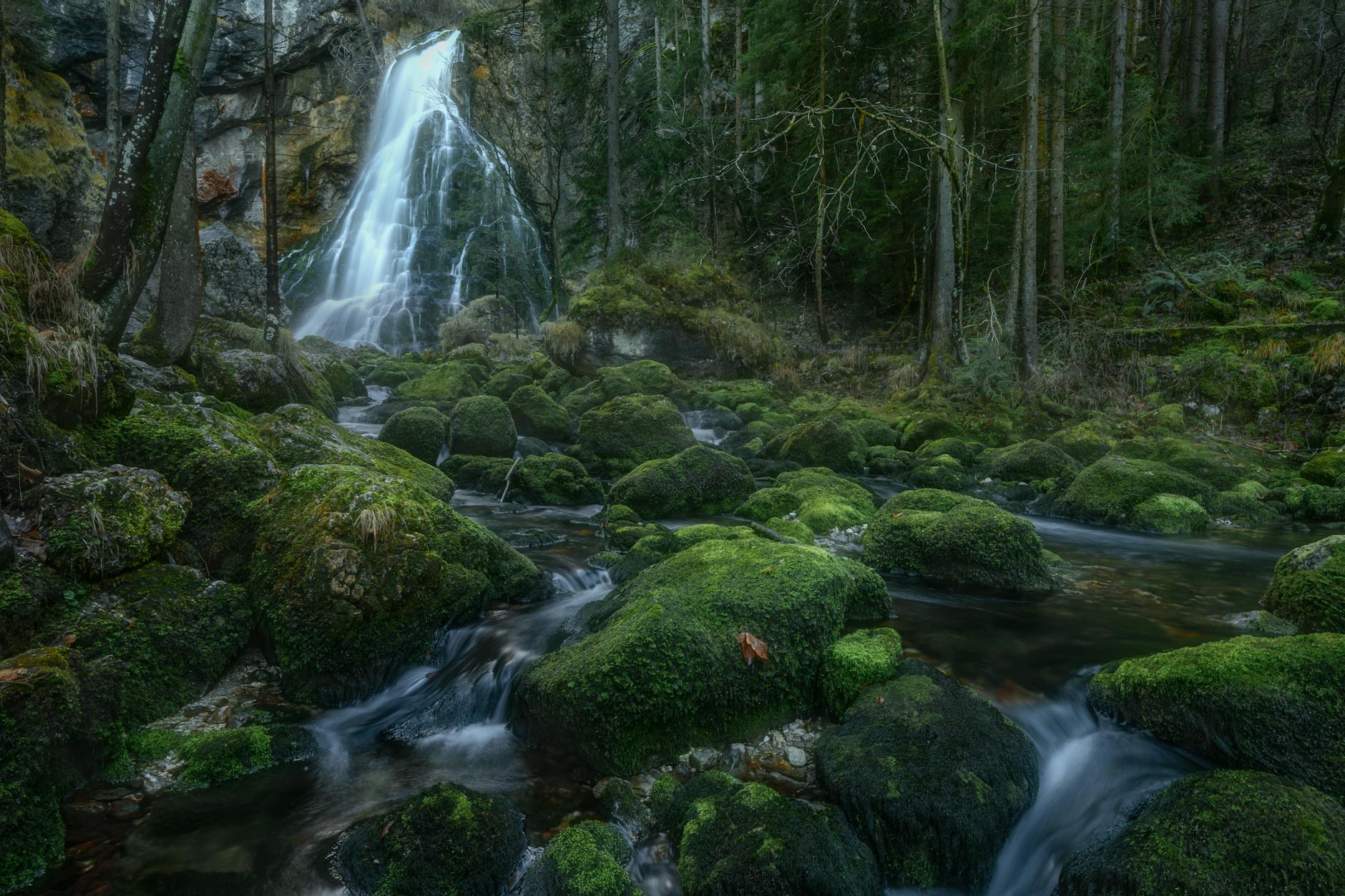 Glasgow parks Rouken Glen Park waterfall woodland nature trails