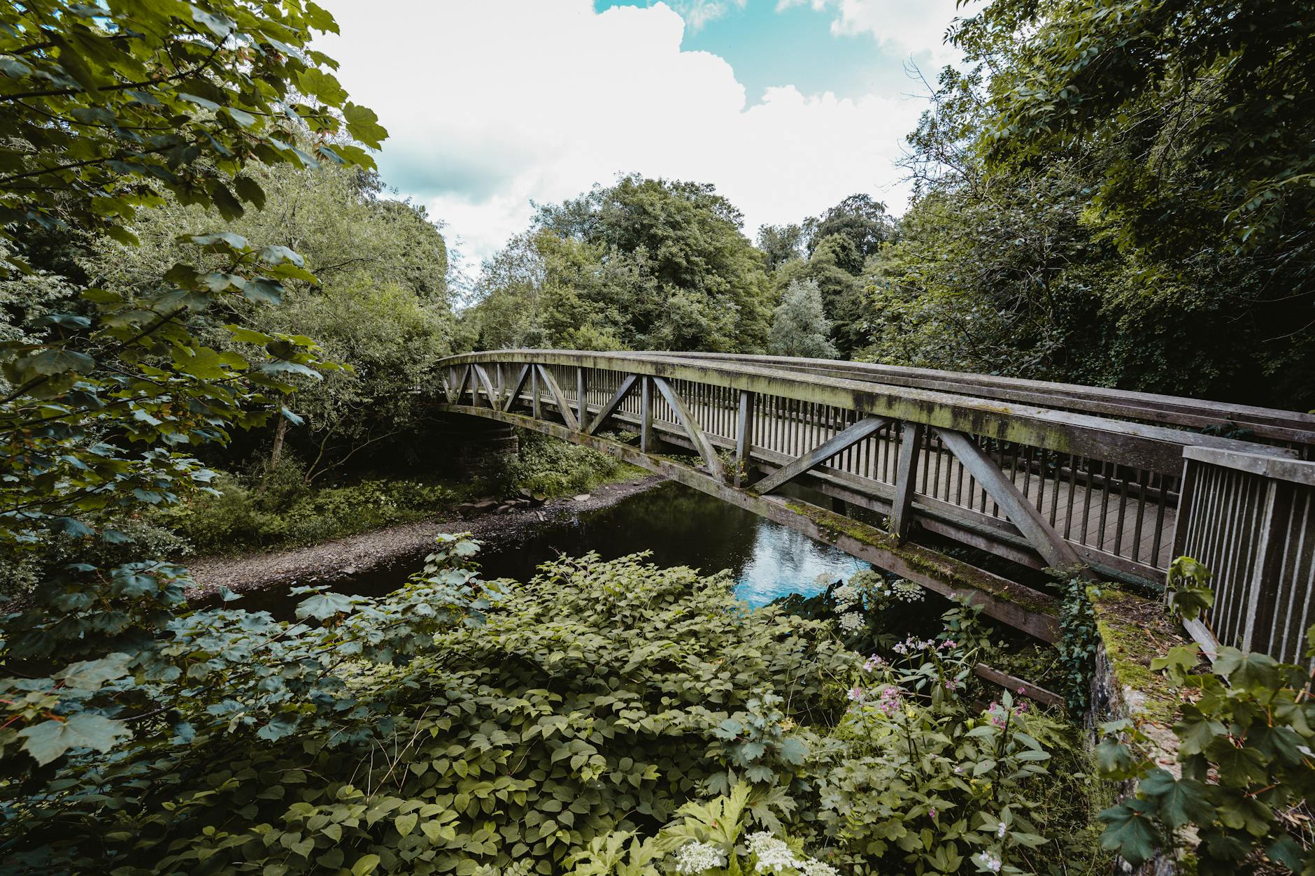 Kelvingrove Park in Glasgow's West End with trees and pathways