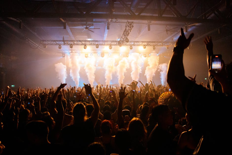 Music Festival Crowd