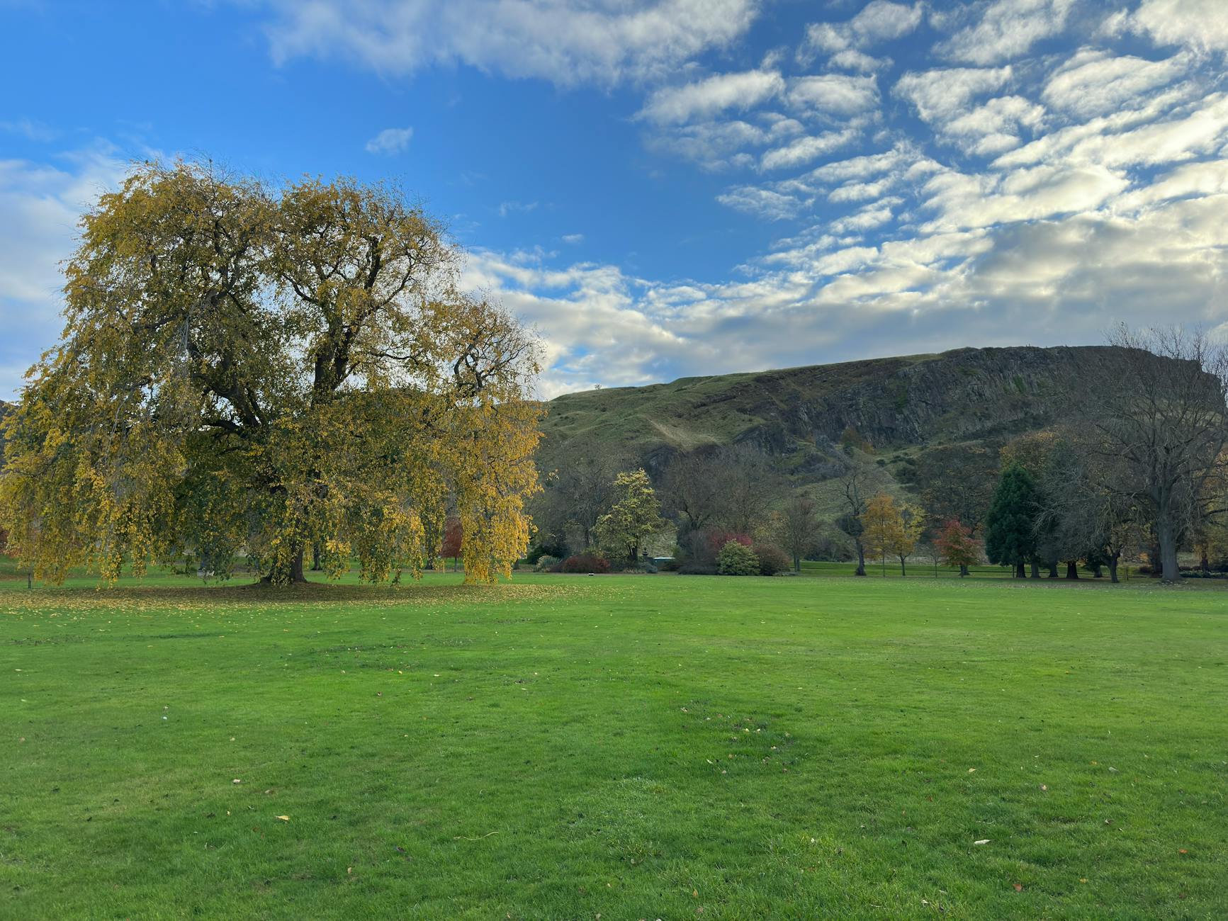 Scotland Park Nature