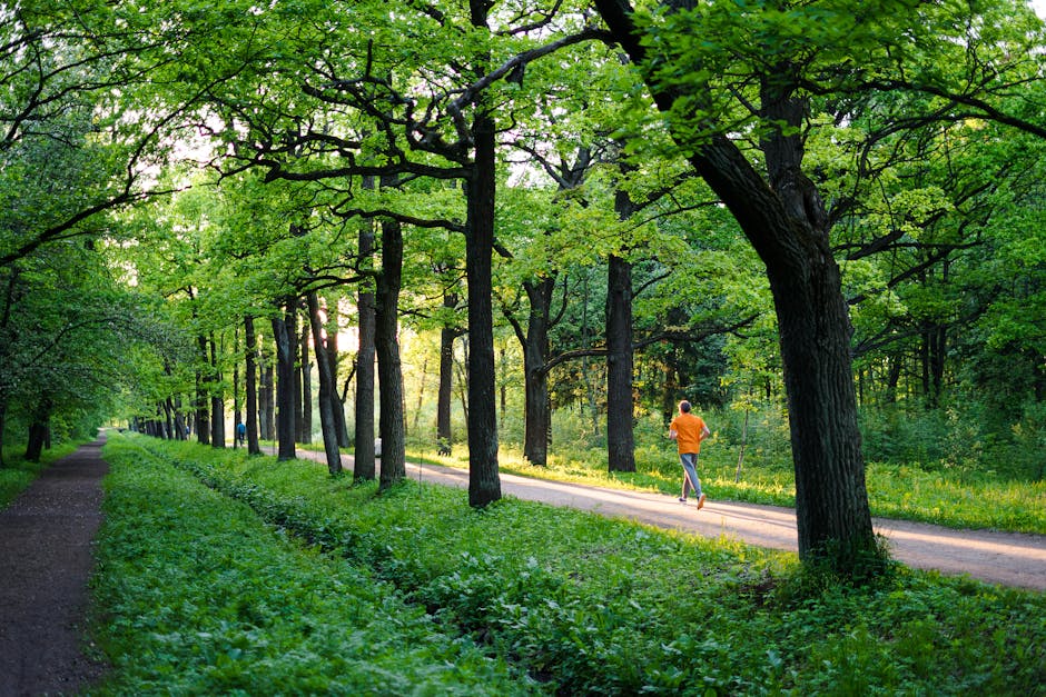 Running Routes in Glasgow