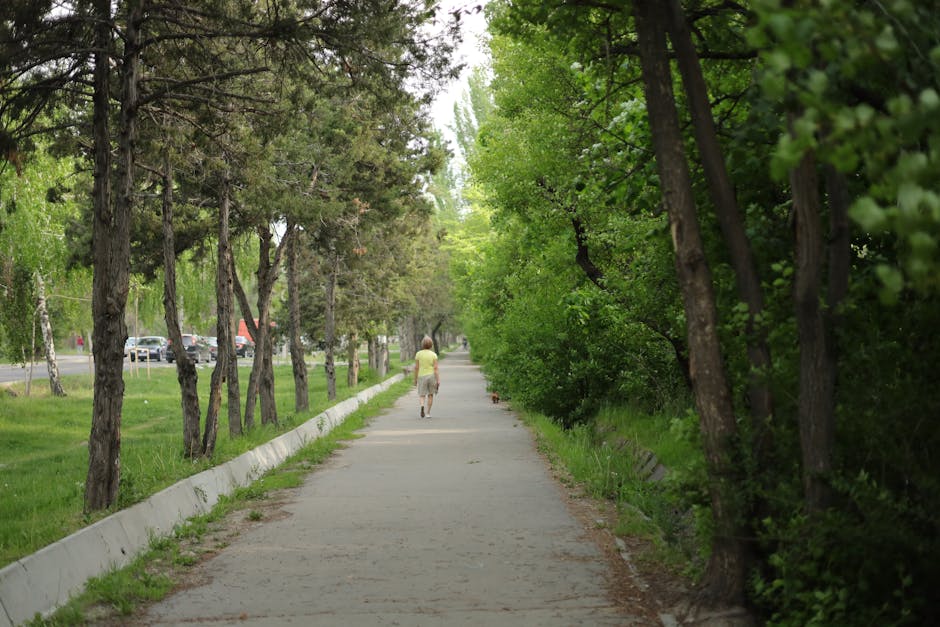 City Park Green Trees
