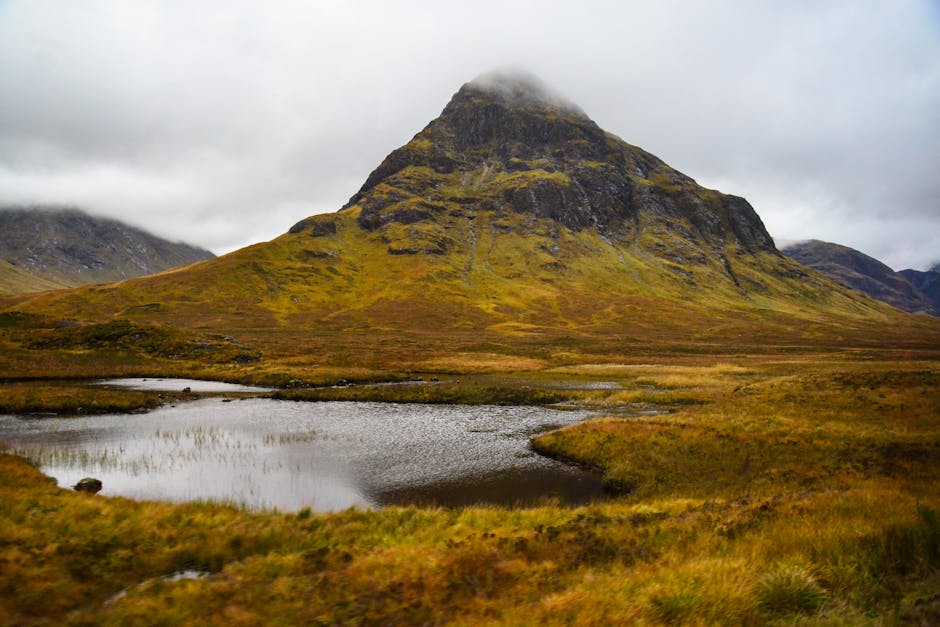 Scotland Park Nature