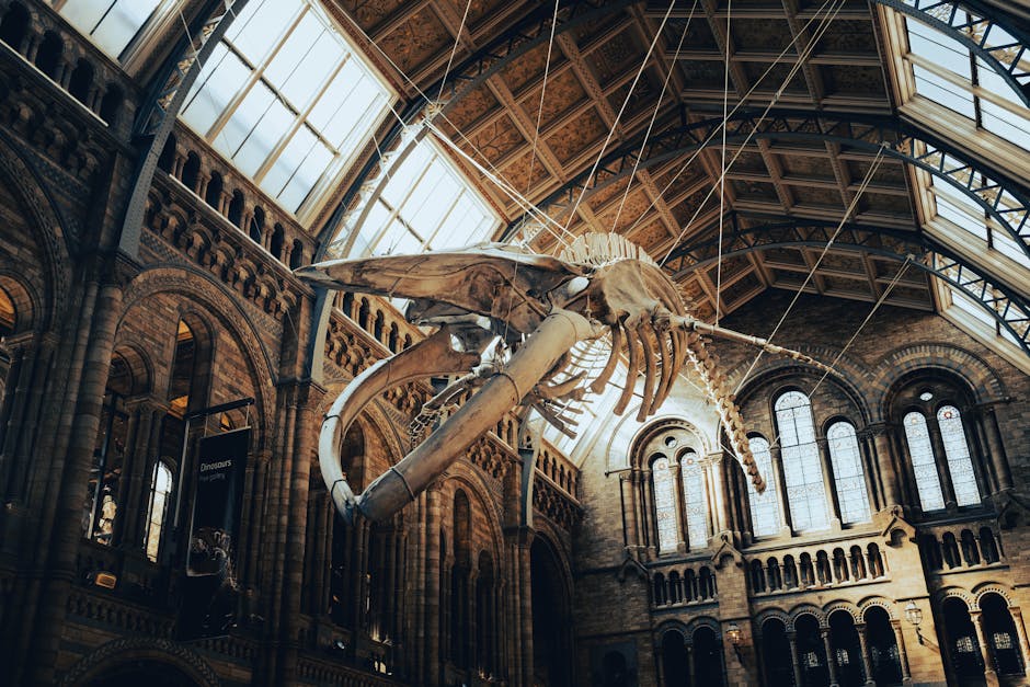 Glasgow Science Centre: to Exhibits, Tickets & Tips