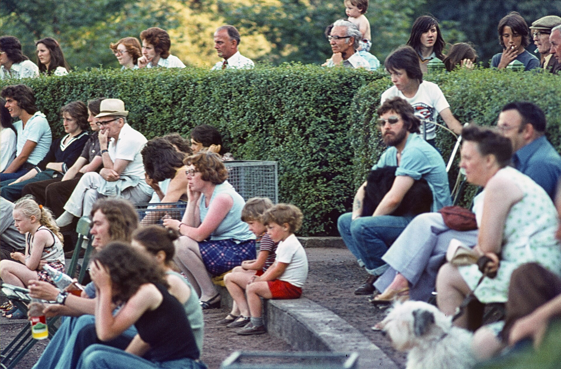 A 1970s audience of families, teenagers and older couples sitting on the steps of the Kelvingrove Bandstand amphitheatre in summer, with a hedge and trees behind